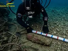 L'ordigno bellico rinvenuto sul fondale
