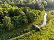 L'oasi Lycaena a Salzano