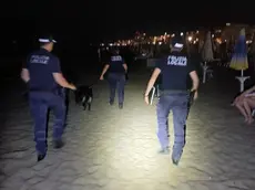 Il blitz della polizia locale