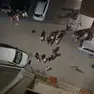Rissa e caos dietro al Parco Agorà