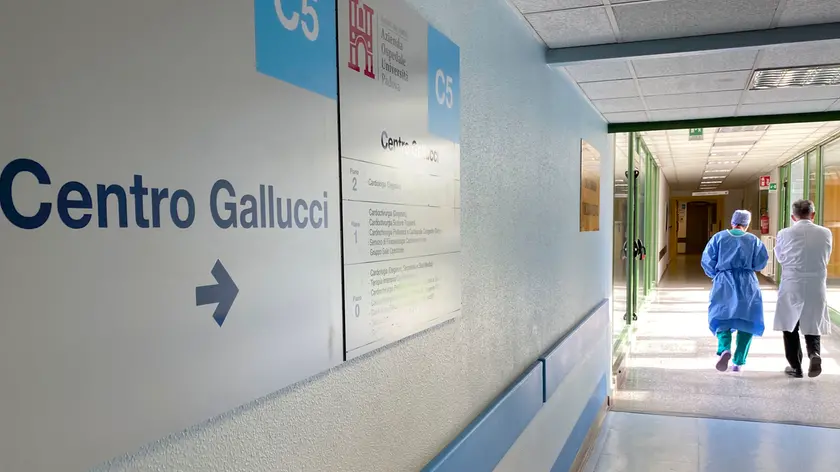 Centro Gallucci