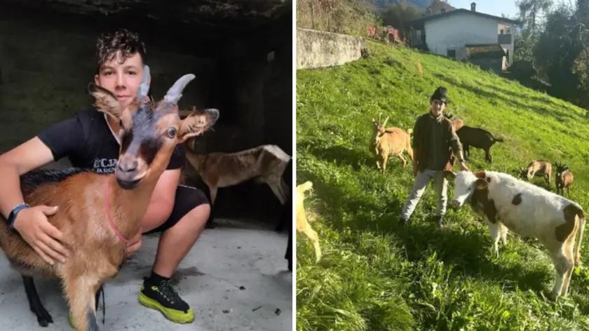 Alessio e Antonio fanno rivivere la vecchia stalla di Tualis