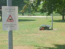Uno dei robottini al lavoro