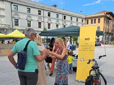 Il banchetto per la raccolta delle firme