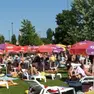 Il giardino della piscina comunale di Dolo
