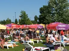 Il giardino della piscina comunale di Dolo