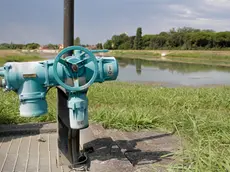 Allerta siccità nel Veneziano