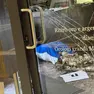 I ladri si sarebbero introdotti nel negozio sfondando la porta d’ingresso