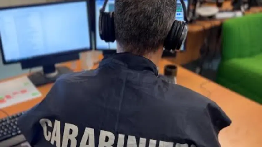 Sul caso hanno indagato i carabinieri