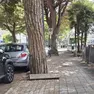 Una delle ciclabili sotto accusa