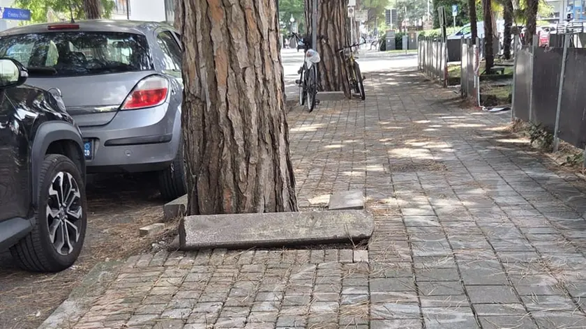 Una delle ciclabili sotto accusa