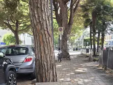 Una delle ciclabili sotto accusa