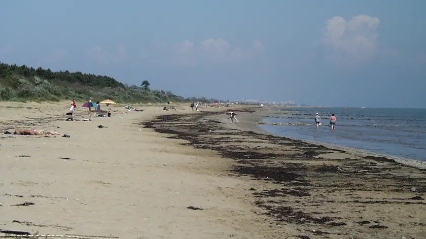 Laspiaggia libera di Vallevecchia