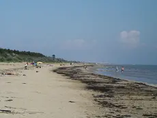 Laspiaggia libera di Vallevecchia