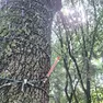 Una delle siringhe trovate al parco