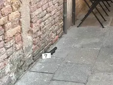L’uomo si è dato alla fuga verso san Polo