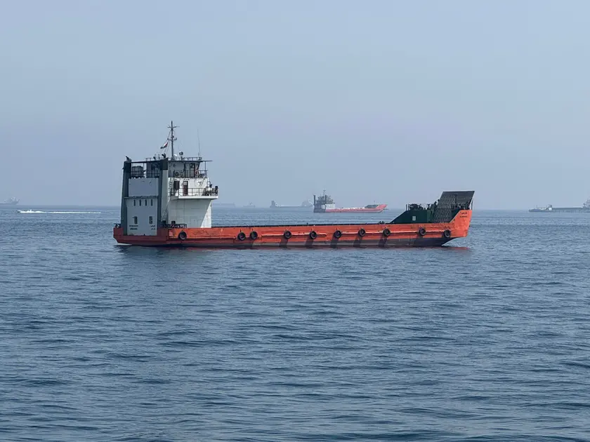 Un mercantile attraversa lo stretto di Hormuz. Sotto il terminal container nel porto di Venezia