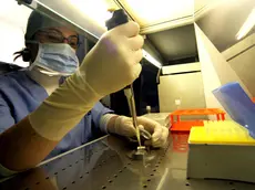 Un laboratorio per la fecondazione assistita