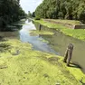 Il Brenta in secca