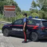 La donna dovrà scontare due anni e quindici giorni di carcere