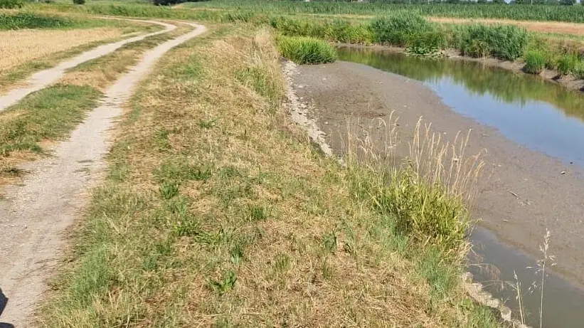 Trovato morto dentro una canale a Bovolenta