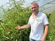 Emanuel Zanella dell'agricampeggio Mose di Punta Sabbioni