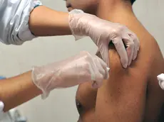 Una vaccinazione, i dati in Veneto