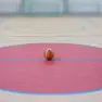 Basket, ufficializzati i calendari della LBA