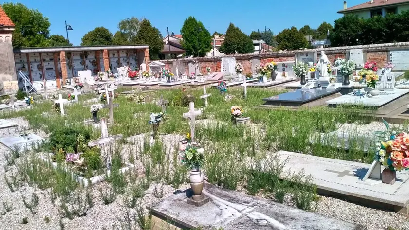 Erbacce tra le tombe del cimitero a Marcon