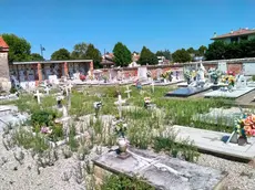 Erbacce tra le tombe del cimitero a Marcon