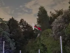 L'aereo incastrato tra gli alberi