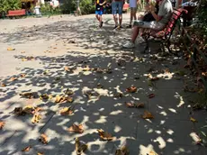 Campo San Giacomo dall’Orio a Venezia