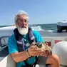 La tartaruga è stata riportata in mare