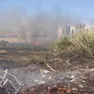Uno dei roghi appiccati dal piromane a Ceggia