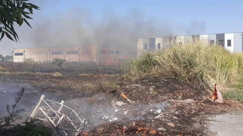 Uno dei roghi appiccati dal piromane a Ceggia