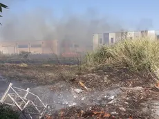 Uno dei roghi appiccati dal piromane a Ceggia