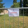 Donna morsa da un ragno violino, scatta la disinfestazione al parco