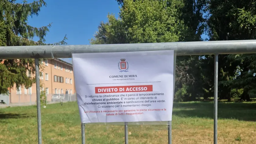 https://images.nuovavenezia.it/view/acePublic/alias/contentid/1t43dl9jspyhmfdgs30/0/whatsappimage2026-08-14at111343.webp?f=16%3A9&amp;w=840