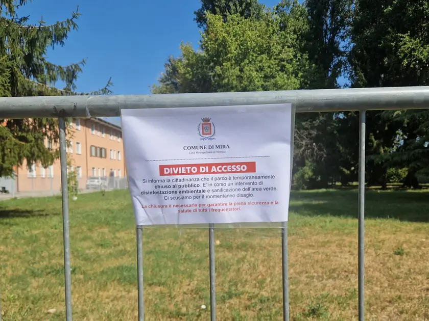 Donna morsa da un ragno violino, scatta la disinfestazione al parco
