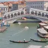 Il delfino avvistato nel Canal Grande