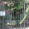 La villetta dove abitava Chiara Guerra, uccisa dal nipote a San Stino di Livenza