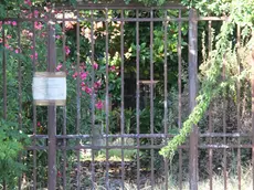 La villetta dove abitava Chiara Guerra, uccisa dal nipote a San Stino di Livenza