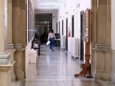 L’interno del Palazzo di giustizia in foro Ulpiano a Trieste (foto Massimo Silvano)