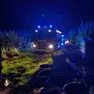 L'intervento dei vigili del fuoco nel vivaio a Cavallino