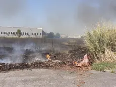 Uno degli incendi appiccati a Ceggia dal piromane