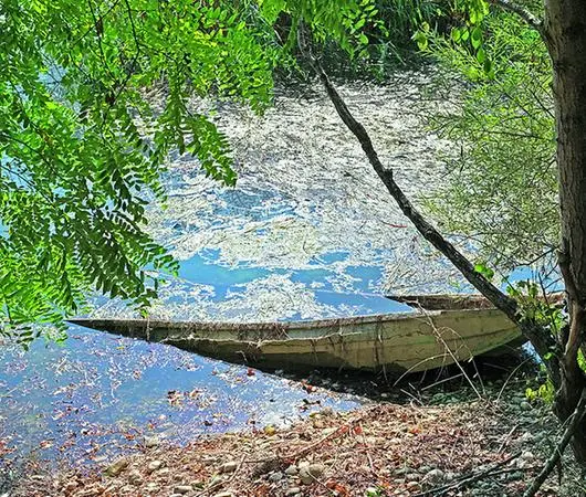 Dall’acqua riaffiora una vecchia barca