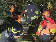 L'operazione dei vigili del fuoco a Scorzè (foto vigili del fuoco)