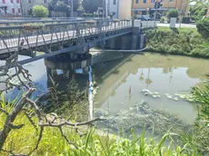 Le panne messe nel canale per ararginare la sostanza inquinante