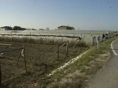 Nelle serre le temperature hanno raggiunto i 40 gradi