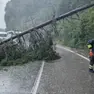 Maltempo nel Bellunese